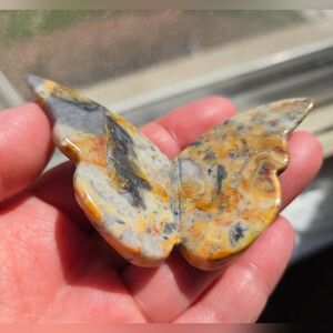 Crazy Lace Butterfly